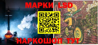 индика Обь