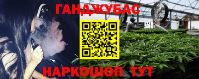 индика Обь