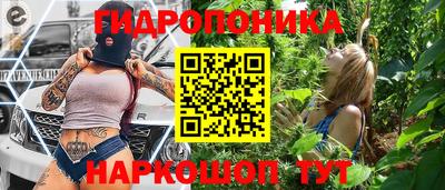 индика Обь